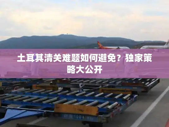 土耳其清关难题如何避免？独家策略大公开