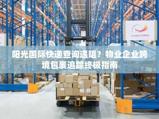 阳光国际快递查询遇阻？物业企业跨境包裹追踪终极指南