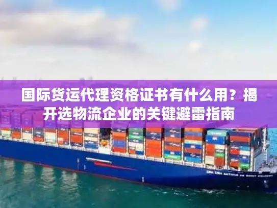 国际货运代理资格证书有什么用？揭开选物流企业的关键避雷指南