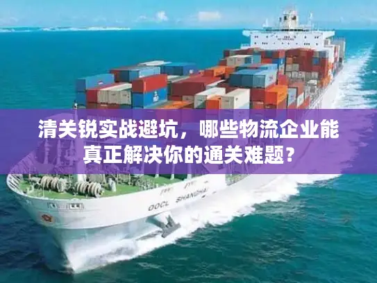清关锐实战避坑，哪些物流企业能真正解决你的通关难题？