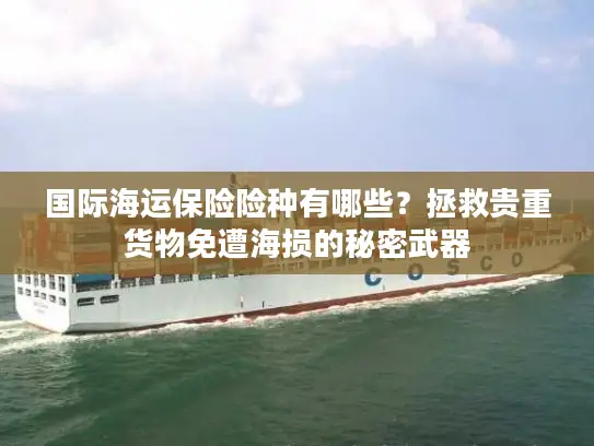 国际海运保险险种有哪些？拯救贵重货物免遭海损的秘密武器