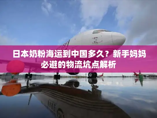 日本奶粉海运到中国多久？新手妈妈必避的物流坑点解析