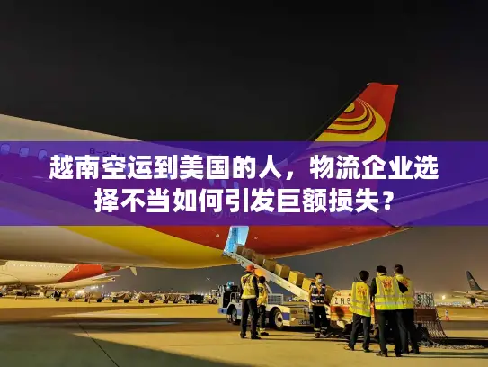 越南空运到美国的人，物流企业选择不当如何引发巨额损失？