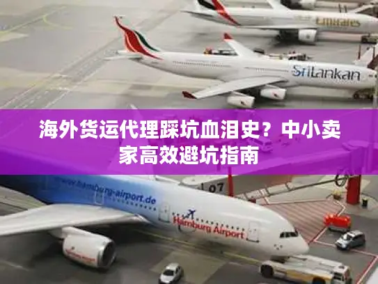 海外货运代理踩坑血泪史？中小卖家高效避坑指南