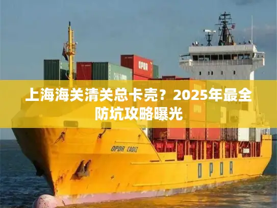 上海海关清关总卡壳？2025年最全防坑攻略曝光