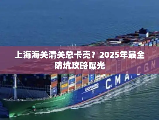 上海海关清关总卡壳？2025年最全防坑攻略曝光
