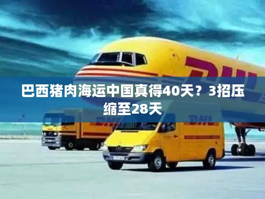 巴西猪肉海运中国真得40天？3招压缩至28天