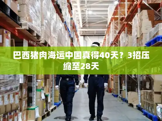 巴西猪肉海运中国真得40天？3招压缩至28天