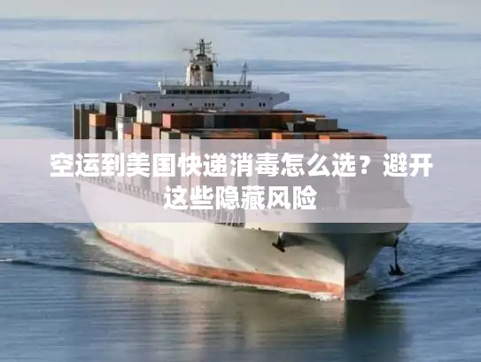 空运到美国快递消毒怎么选？避开这些隐藏风险