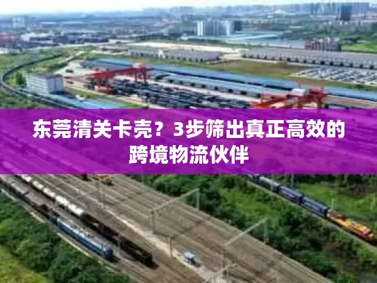 东莞清关卡壳？3步筛出真正高效的跨境物流伙伴