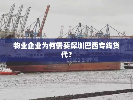 物业企业为何需要深圳巴西专线货代？