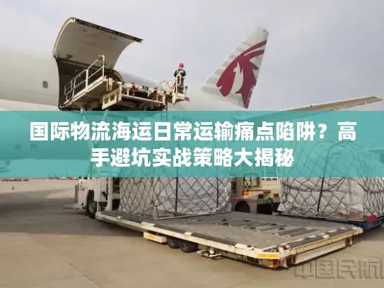 国际物流海运日常运输痛点陷阱？高手避坑实战策略大揭秘