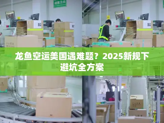 龙鱼空运美国遇难题?2025新规下避坑全方案 龙鱼空运美国遇难题?2025新规下避坑全方案