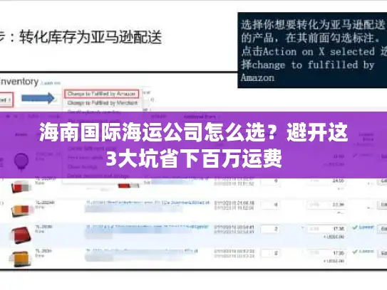 海南国际海运公司怎么选？避开这3大坑省下百万运费