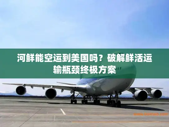 河鲜能空运到美国吗？破解鲜活运输瓶颈终极方案