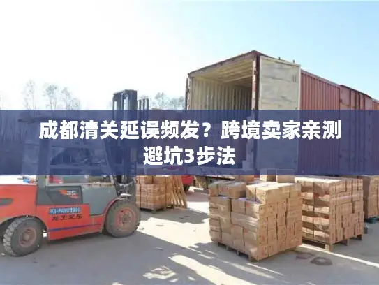 成都清关延误频发？跨境卖家亲测避坑3步法