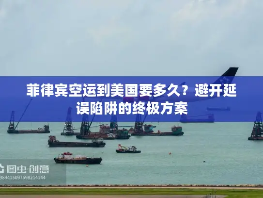 菲律宾空运到美国要多久?避开延误陷阱的终极方案 菲律宾空运到美国要多久?避开延误陷阱的终极方案