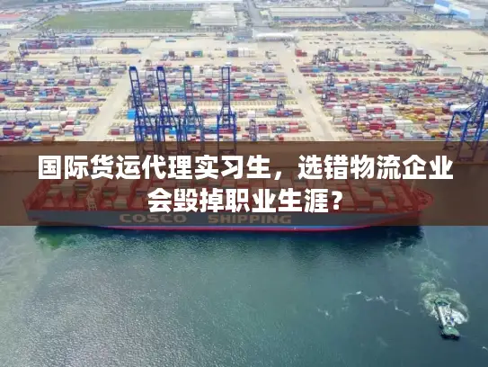 国际货运代理实习生，选错物流企业会毁掉职业生涯？
