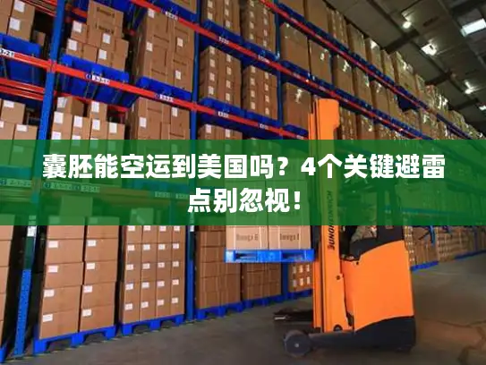 囊胚能空运到美国吗？4个关键避雷点别忽视！