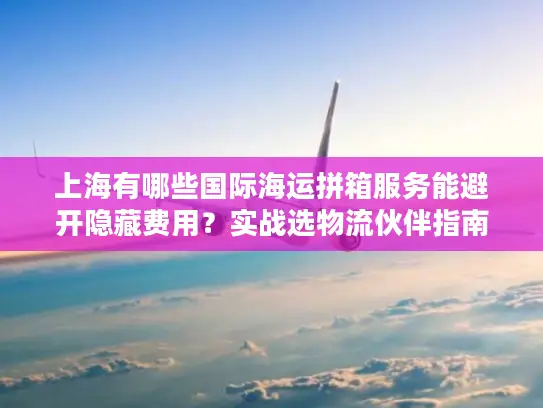 上海有哪些国际海运拼箱服务能避开隐藏费用？实战选物流伙伴指南