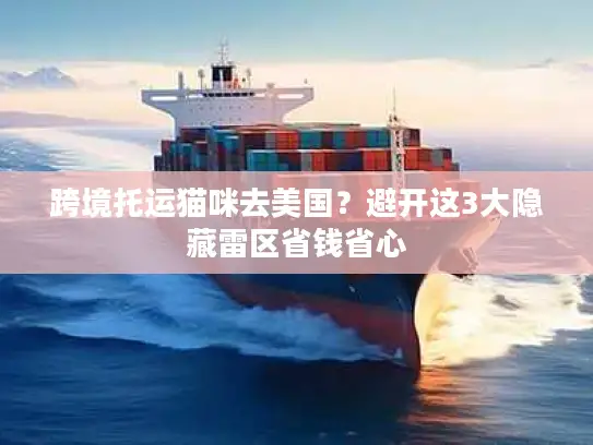 跨境托运猫咪去美国？避开这3大隐藏雷区省钱省心