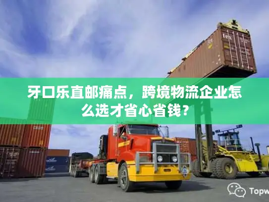 牙口乐直邮痛点，跨境物流企业怎么选才省心省钱？
