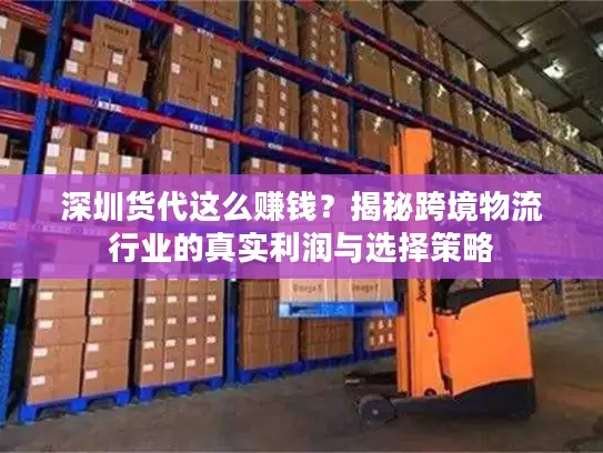 深圳货代这么赚钱？揭秘跨境物流行业的真实利润与选择策略