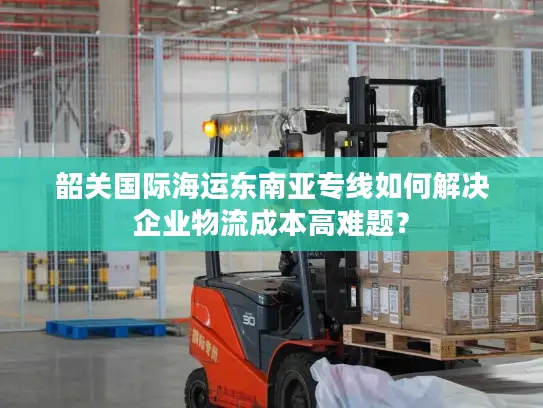 韶关国际海运东南亚专线如何解决企业物流成本高难题？