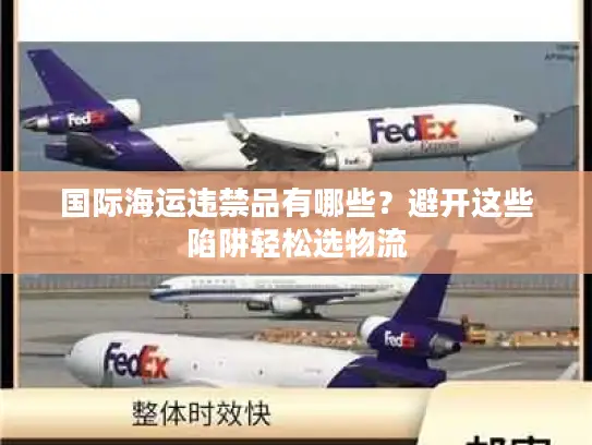 国际海运违禁品有哪些？避开这些陷阱轻松选物流