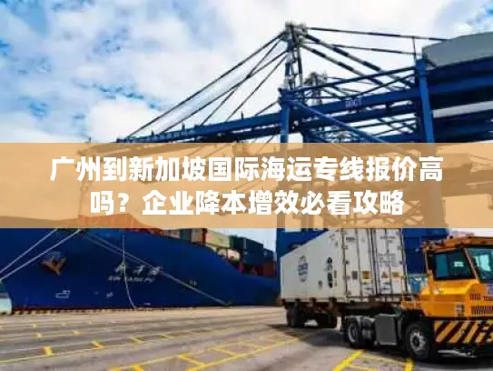 广州到新加坡国际海运专线报价高吗？企业降本增效必看攻略