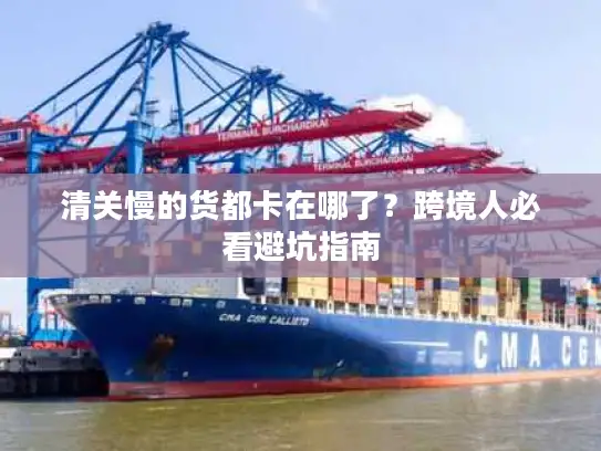 清关慢的货都卡在哪了？跨境人必看避坑指南