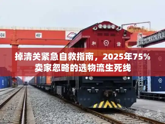 掉清关紧急自救指南，2025年75%卖家忽略的选物流生死线