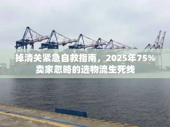 掉清关紧急自救指南，2025年75%卖家忽略的选物流生死线