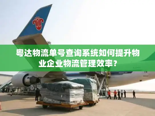 粤达物流单号查询系统如何提升物业企业物流管理效率？