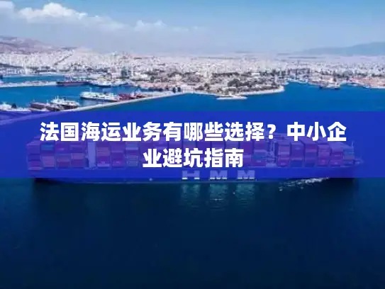 法国海运业务有哪些选择？中小企业避坑指南