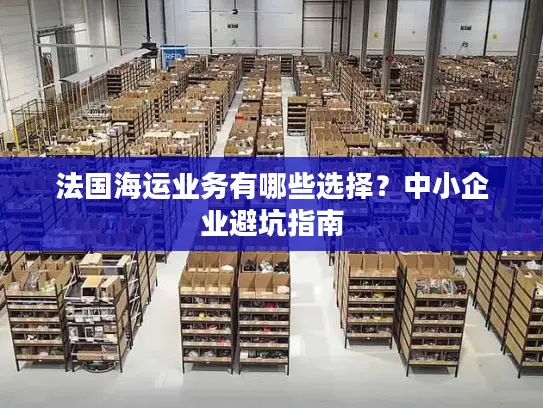 法国海运业务有哪些选择？中小企业避坑指南