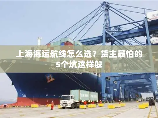 上海海运航线怎么选？货主最怕的5个坑这样躲