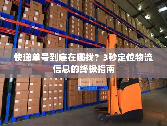 快递单号到底在哪找？3秒定位物流信息的终极指南