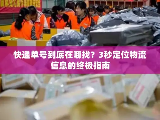 快递单号到底在哪找？3秒定位物流信息的终极指南