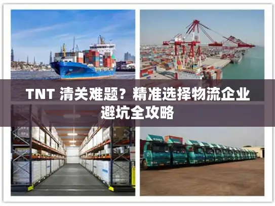 TNT 清关难题？精准选择物流企业避坑全攻略