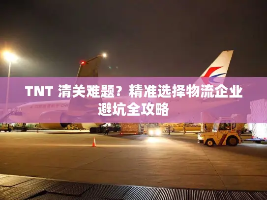 TNT 清关难题？精准选择物流企业避坑全攻略