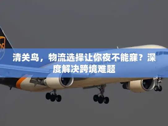 清关鸟，物流选择让你夜不能寐？深度解决跨境难题