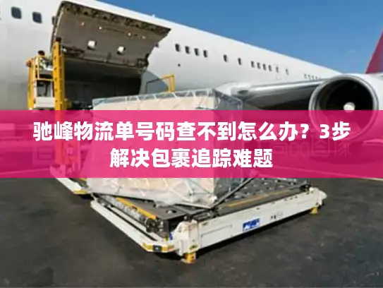 驰峰物流单号码查不到怎么办？3步解决包裹追踪难题