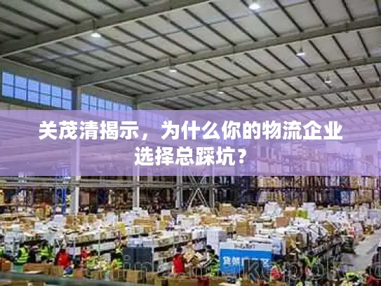 关茂清揭示，为什么你的物流企业选择总踩坑？