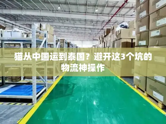 猫从中国运到泰国？避开这3个坑的物流神操作