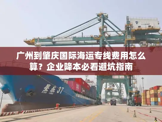 广州到肇庆国际海运专线费用怎么算？企业降本必看避坑指南