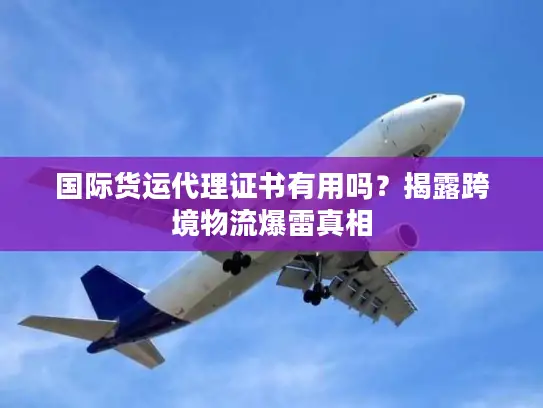 国际货运代理证书有用吗？揭露跨境物流爆雷真相