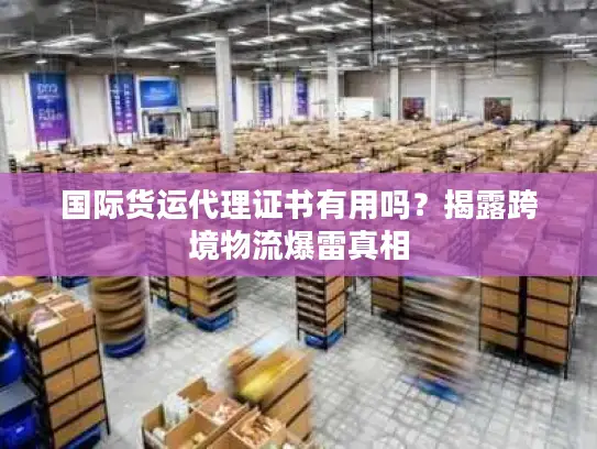 国际货运代理证书有用吗？揭露跨境物流爆雷真相