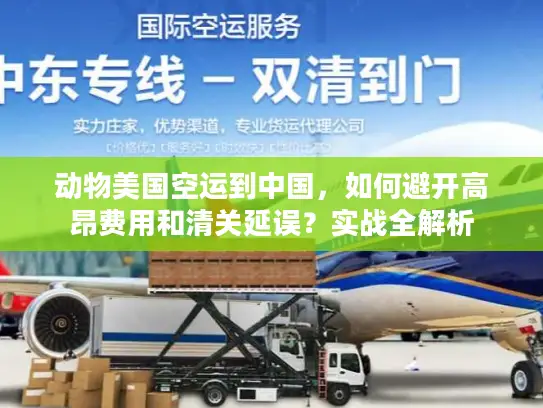 动物美国空运到中国，如何避开高昂费用和清关延误？实战全解析