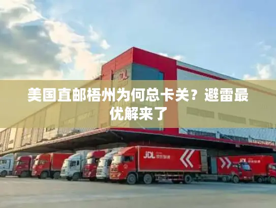 美国直邮梧州为何总卡关？避雷最优解来了